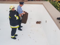 Lezuhant egy siklóernyős a Csobánc közelében