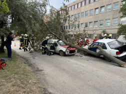 Sikeres minősítő gyakorlat