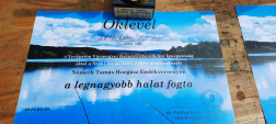 Katasztrófavédelem