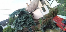 Katasztrófavédelem