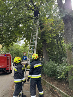 Katasztrófavédelem