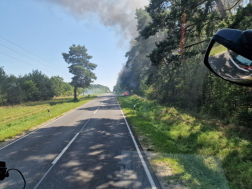 Katasztrófavédelem