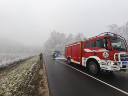 Rengeteg fa dőlt ki a rá nehezedő zúzmarától