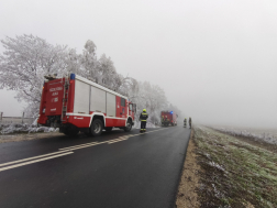 Rengeteg fa dőlt ki a rá nehezedő zúzmarától