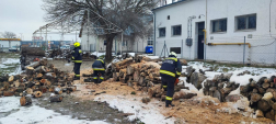 Négy helyszínen zajlik a tűzifa darabolása