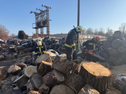 Négy helyszínen zajlik a tűzifa darabolása