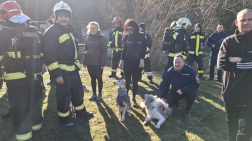 Hetvennégyen indultak a békefutáson