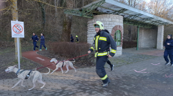 Hetvennégyen indultak a békefutáson