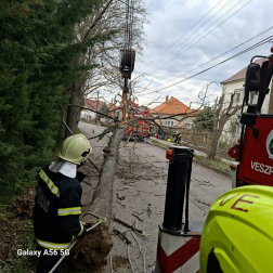 Kidőlt fák veszélyeztették a környezetüket