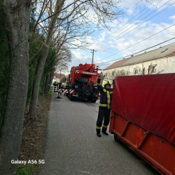 Kidőlt fák veszélyeztették a környezetüket