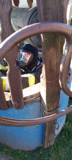 Kidőlt fák veszélyeztették a környezetüket