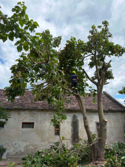 A konyhában volt tűz