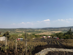 Gyulakeszin, Várpalotán és Ajkán volt tegnap tűz