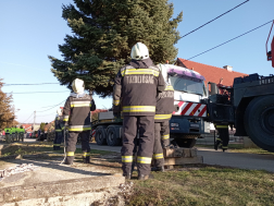 A veszprémi tűzoltók vágták ki az ország karácsonyfáját Nemesvámoson